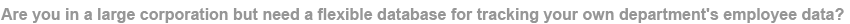 Are you in a large corporation but need a flexible database for tracking your own department's employee data? Are you in a large corporation but need a flexible database for tracking your own department's employee data?